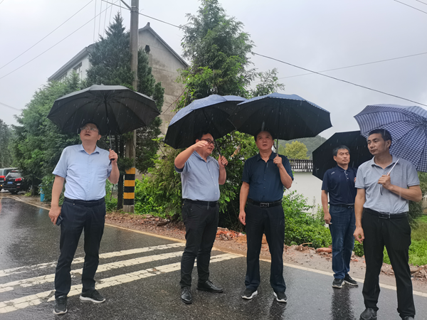 修改后 侯其标和黄山市建投在庐江项目点调研指导.png