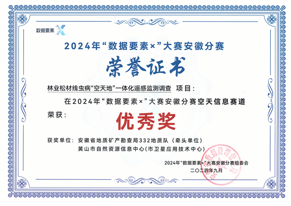 数据要素大赛荣誉证书.png